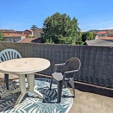 Le Foch, Large In Albi, Ideal For Families אלבי