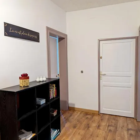 דירה Le Foch, Large In Albi, Ideal For Families