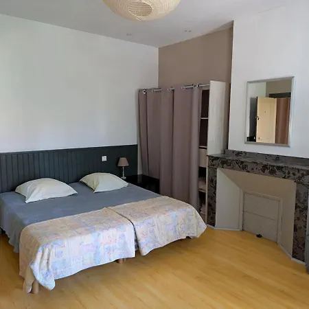 Appartement Le Foch, Large In Albi, Ideal For Families *