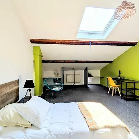 Appartement Le Foch, Large In Albi, Ideal For Families *